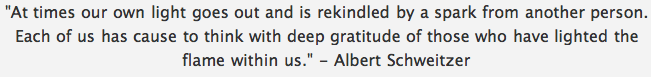 Quote — Albert Schweitzer