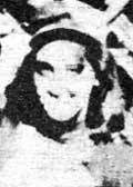 Violeta Casal